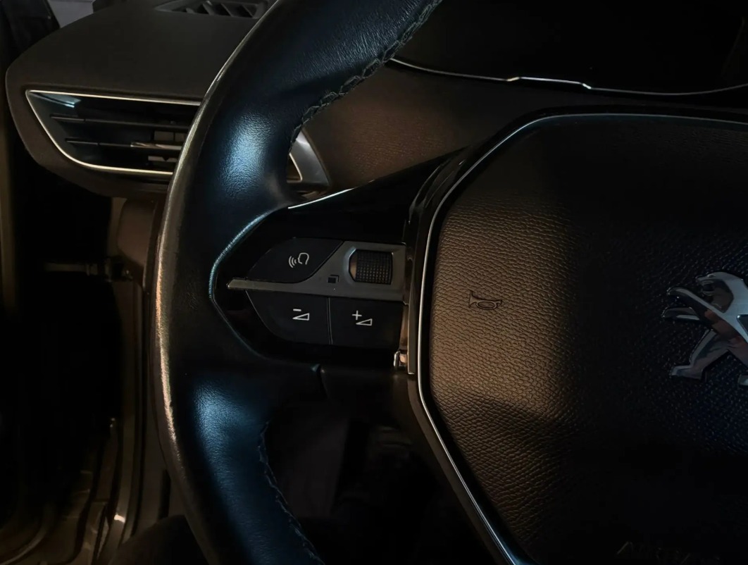 Peugeot 3008 detalhe porta